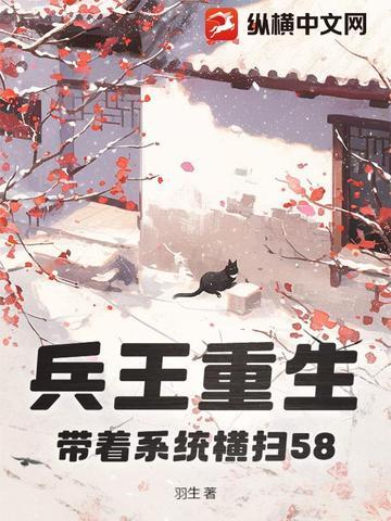 兵王系统类