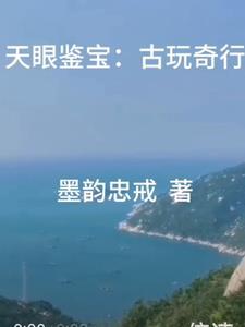 古玩天眼电视剧