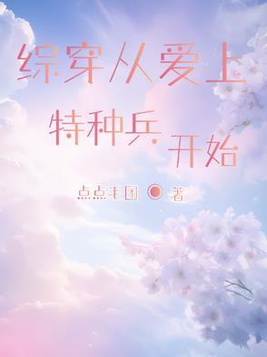 综穿含特种兵系列