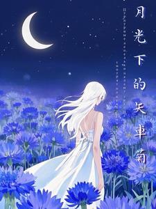月光下的月光