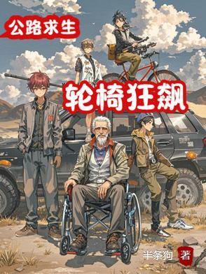 轮椅飙车图片
