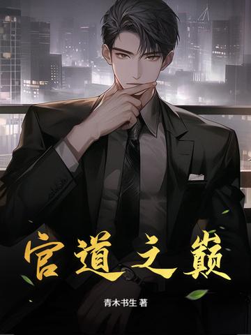 官道之巅从基层到中央罗子良