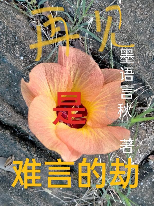 再见是最悲伤的词