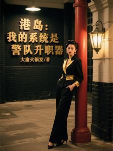 系统之穿越港岛警察