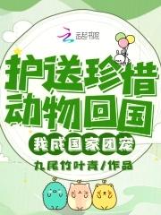 我成国家团宠免费全本