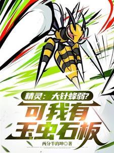 大针蜂mega石在哪