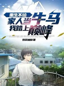 我踏上巅峰的