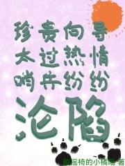 向导哨兵精神体