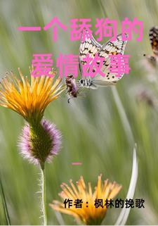 一个舔狗的爱情故事是什么