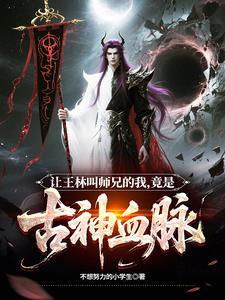 大师王林的师兄