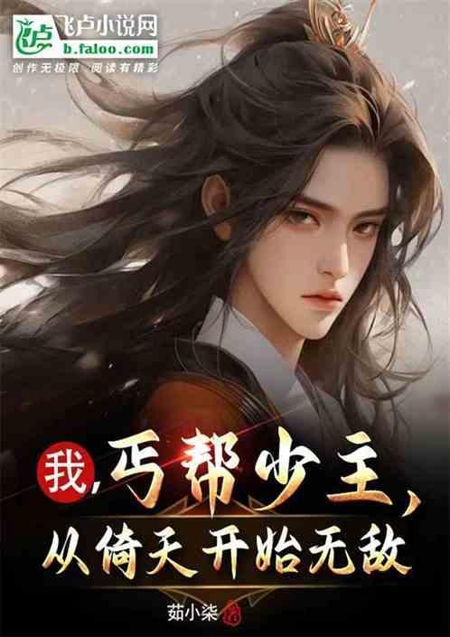 丐帮少帮主