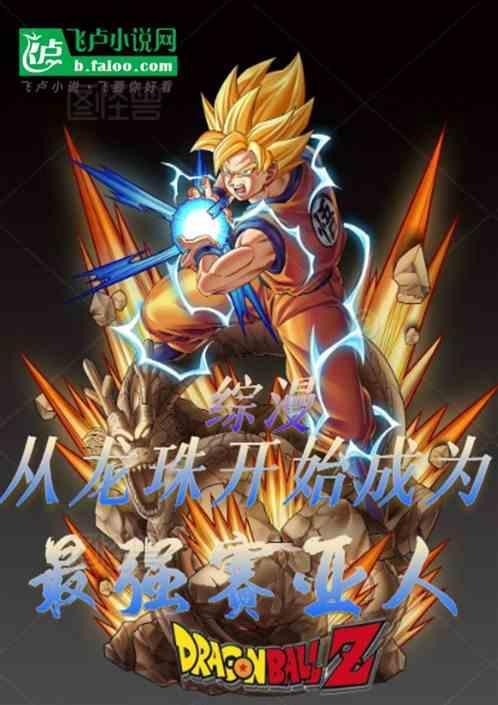 从成为赛亚人之王开始