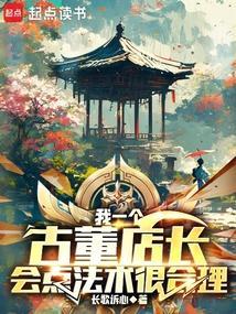 会点法术很合理无防盗