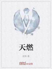 天燃气取暖炉家用