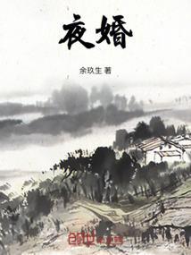 夜婚夜医