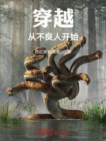 穿越从不良人开始 免费
