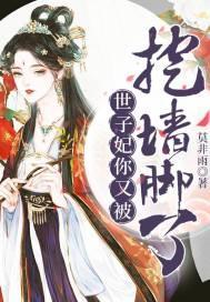 世子妃你又挖墙角了视频