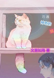 一个神奇的猫