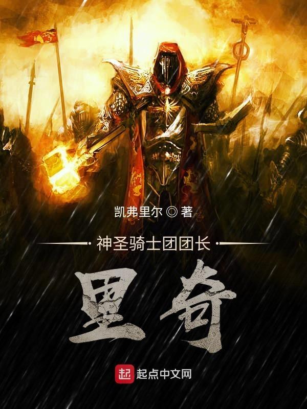 神圣骑士多少集