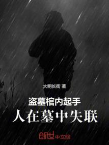 盗墓的人