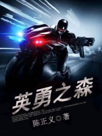 ns英勇之心