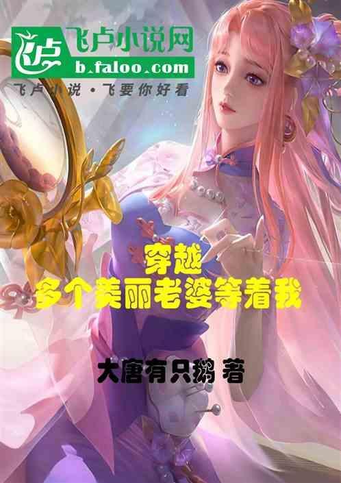 主角穿越娶好几个老婆的