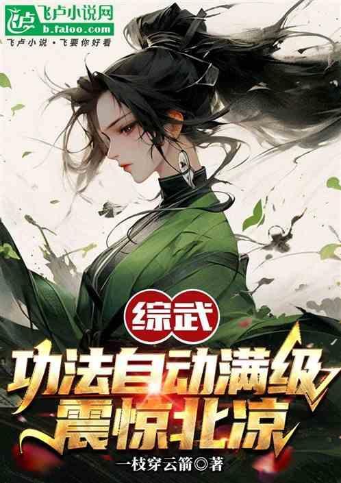 综武侠武功盖