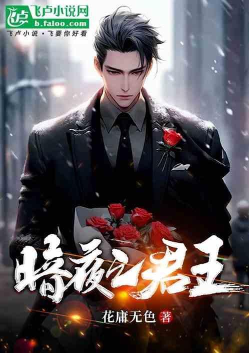 暗夜君王免费阅读