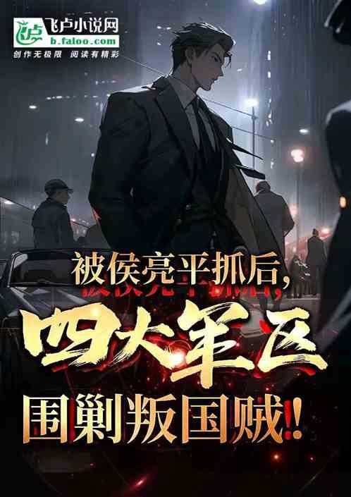 亮剑攻打平安县原型