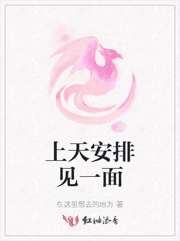 上天安排的相遇