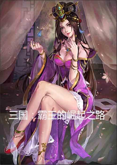 霸王的崛起读后感