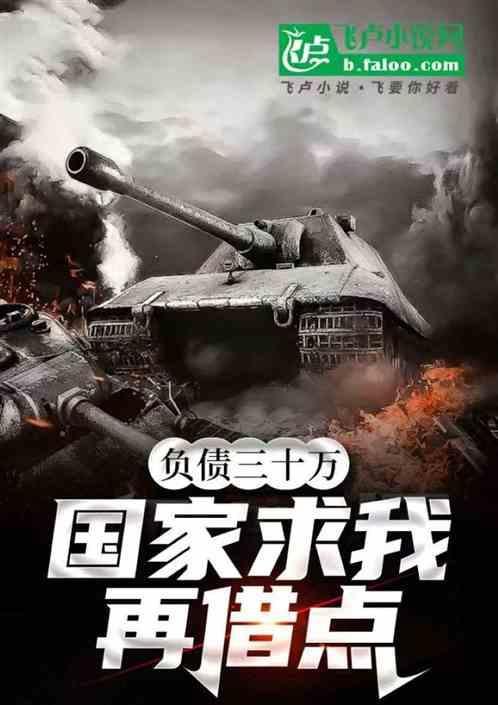负债30万的人多吗