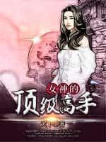女总裁的顶级高手叶枫