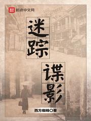 迷踪谍影TXT精校