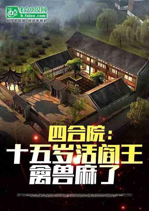 四合院十二岁
