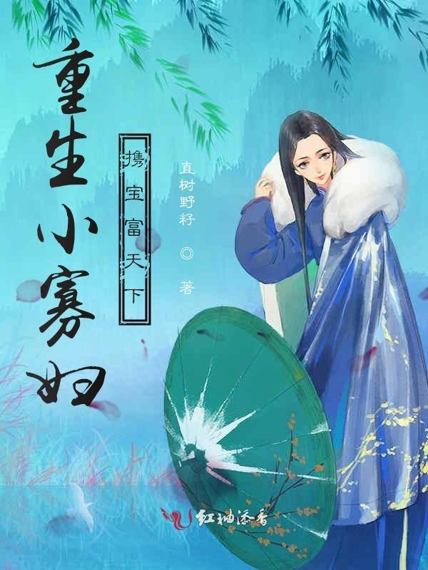 重生小寡妇与小铁匠
