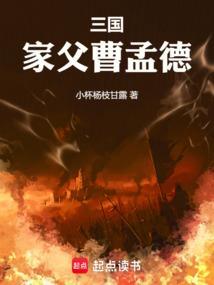 新三国曹孟德