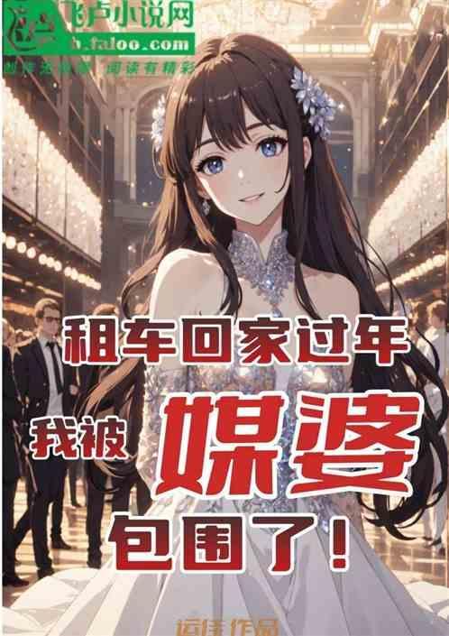 租车回家过年 装b