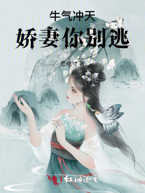 牛气冲天几个老婆