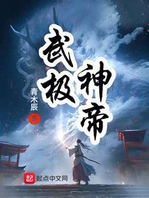 武极大帝