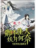卿本佳人奈何作贼