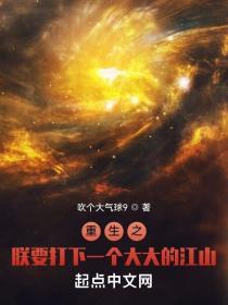 重生之朕要打下一个大大的江山百度