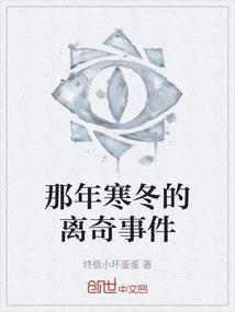 那年寒冬的离奇事件作文