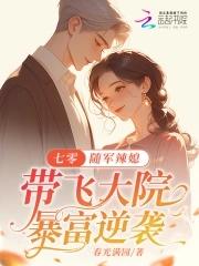 七十年代随军文