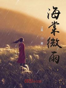 海棠微雨共归途是什么类型的