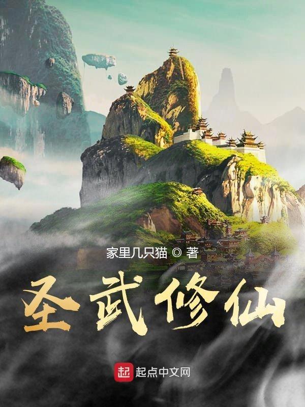 圣武修罗全集免费阅读