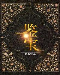 鉴宝我能看到宝物属性