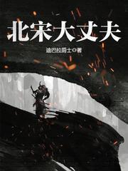 北宋大丈夫TXT八零电子书
