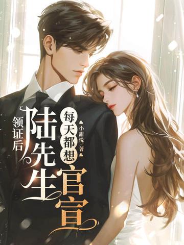 结婚后陆先生天天黏着我苏慕谨