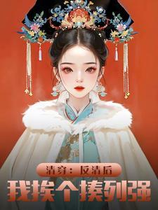 穿越清朝反清复明的